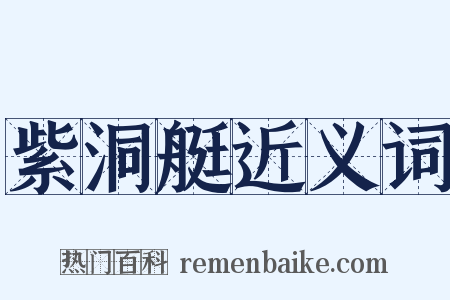 紫洞艇近义词是什么意思的图片